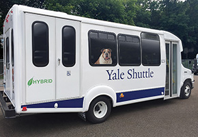 Yale Shuttle1 XLHybrids 290x200